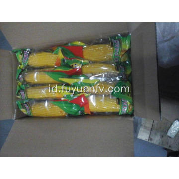 jagung manis segar organik